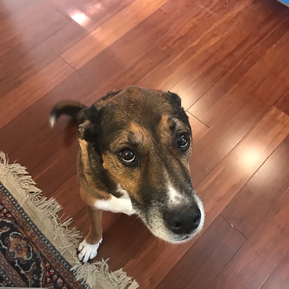 Meet your Posher, Sean